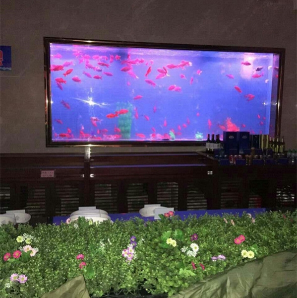 觀賞魚(yú)缸