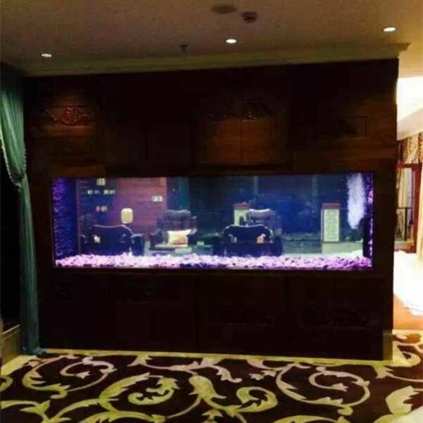 觀賞魚缸