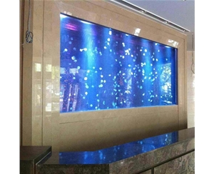 觀賞魚(yú)缸