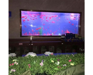 觀賞魚(yú)缸